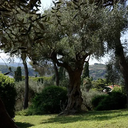 Hotel Riviera Belsoggiorno