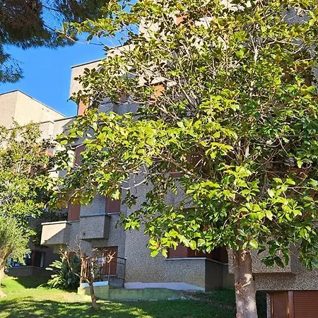 Hotel Riviera Belsoggiorno 3*